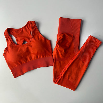Shockproof Sports Bras Leggings Professional Fitness