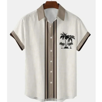 Hawaiian Colorful Stripes Graphic Beach Shirt For Men Color Block 3D Printed